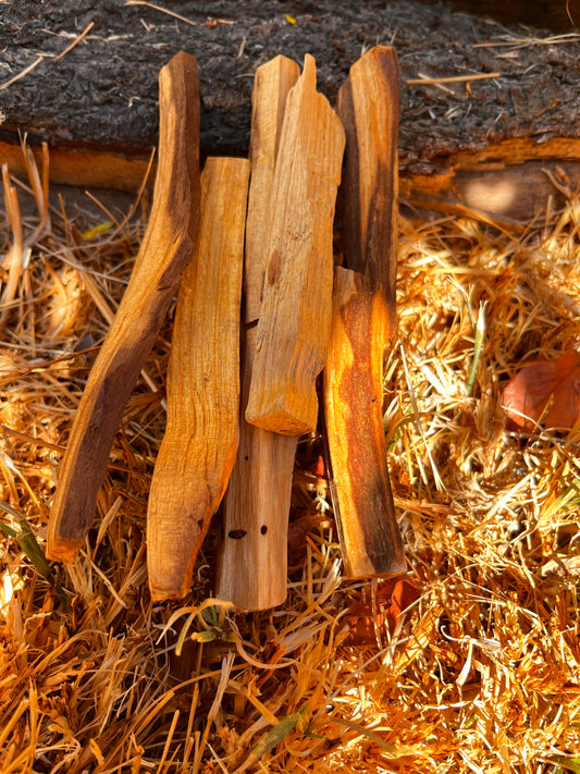 Palo Santo Bundles (3 sticks)